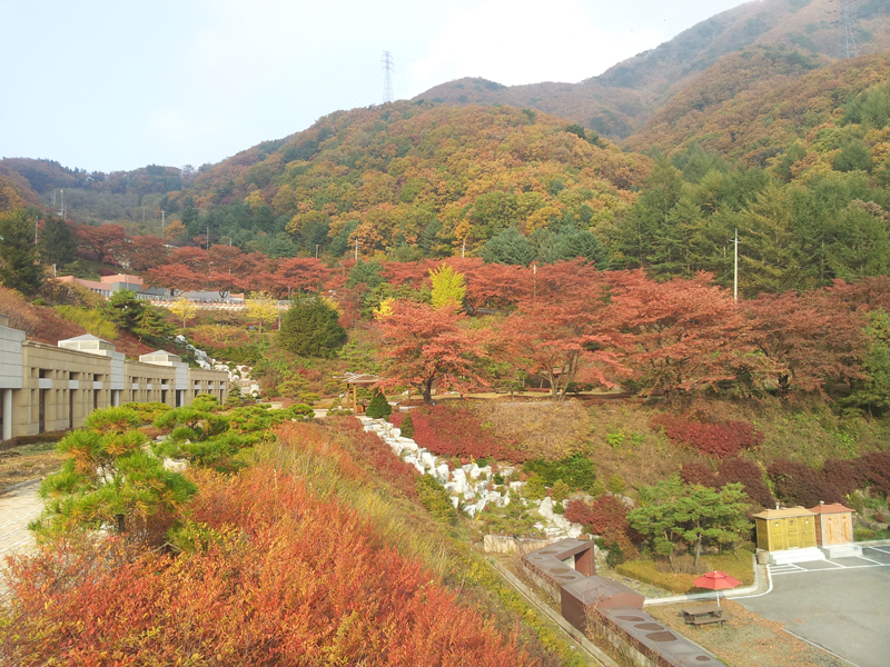 예래원의 가을전경